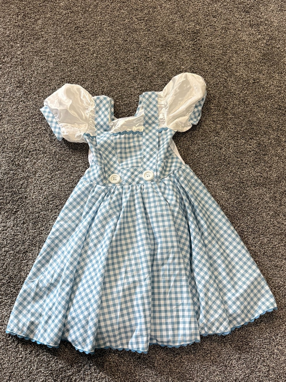 Dorothy’s dress costume